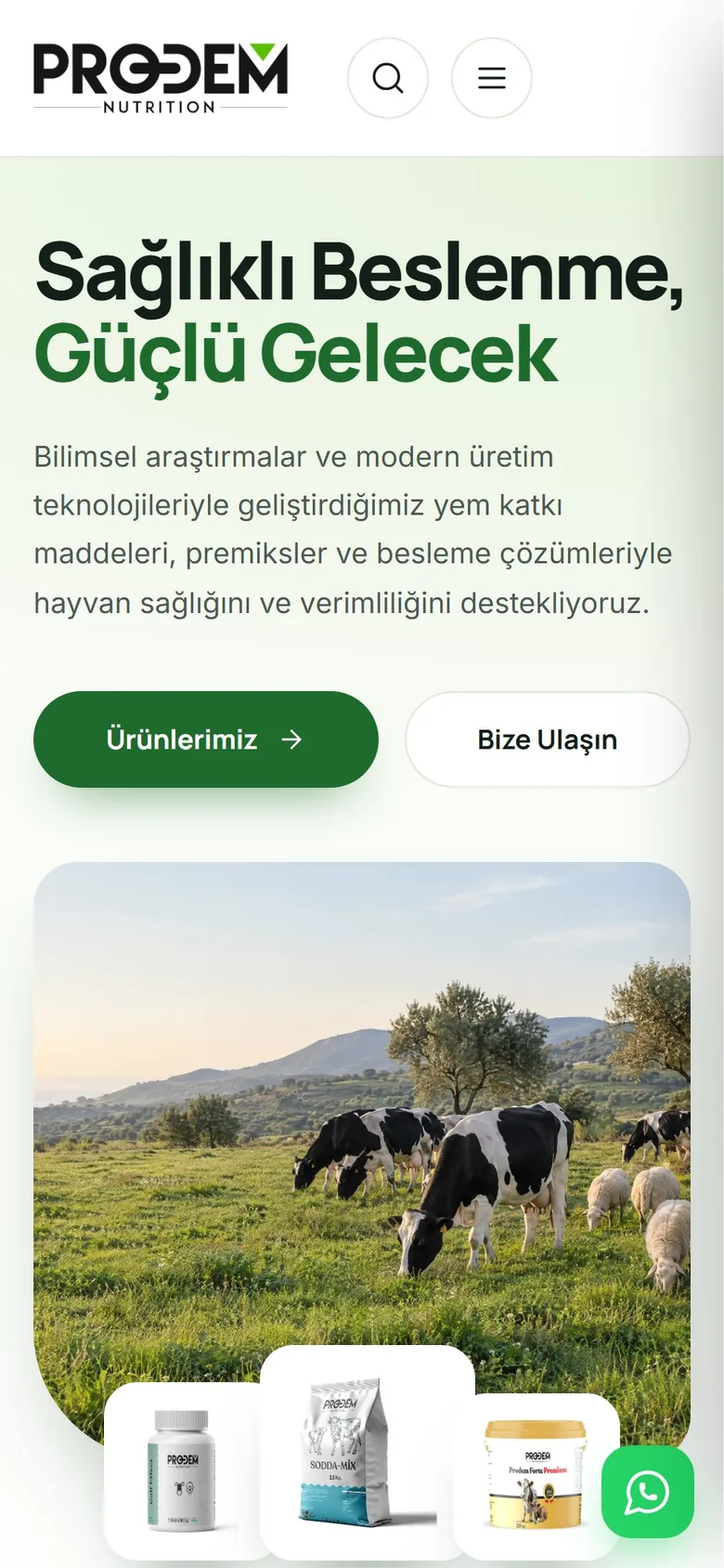 Prodem Nutrition mobil görünüm