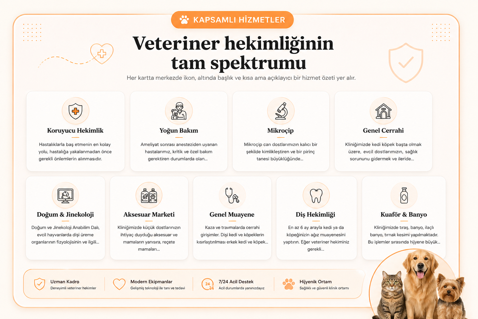 Veteriner+ Website Yazılımı — görsel 3
